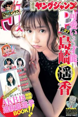 香谱二十四法图